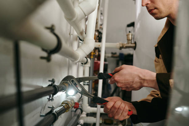 Best Clogged Drain Plumber  in Ely, IA