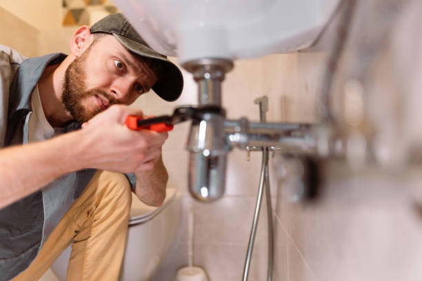 Best Same-Day Plumbing Service  in Ely, IA