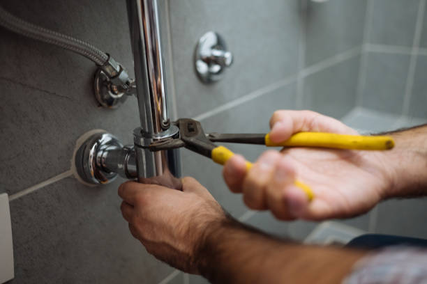 Best Plumbing Services Near Me  in Ely, IA